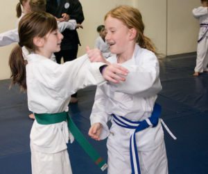Youth Martial Arts Fort Collins