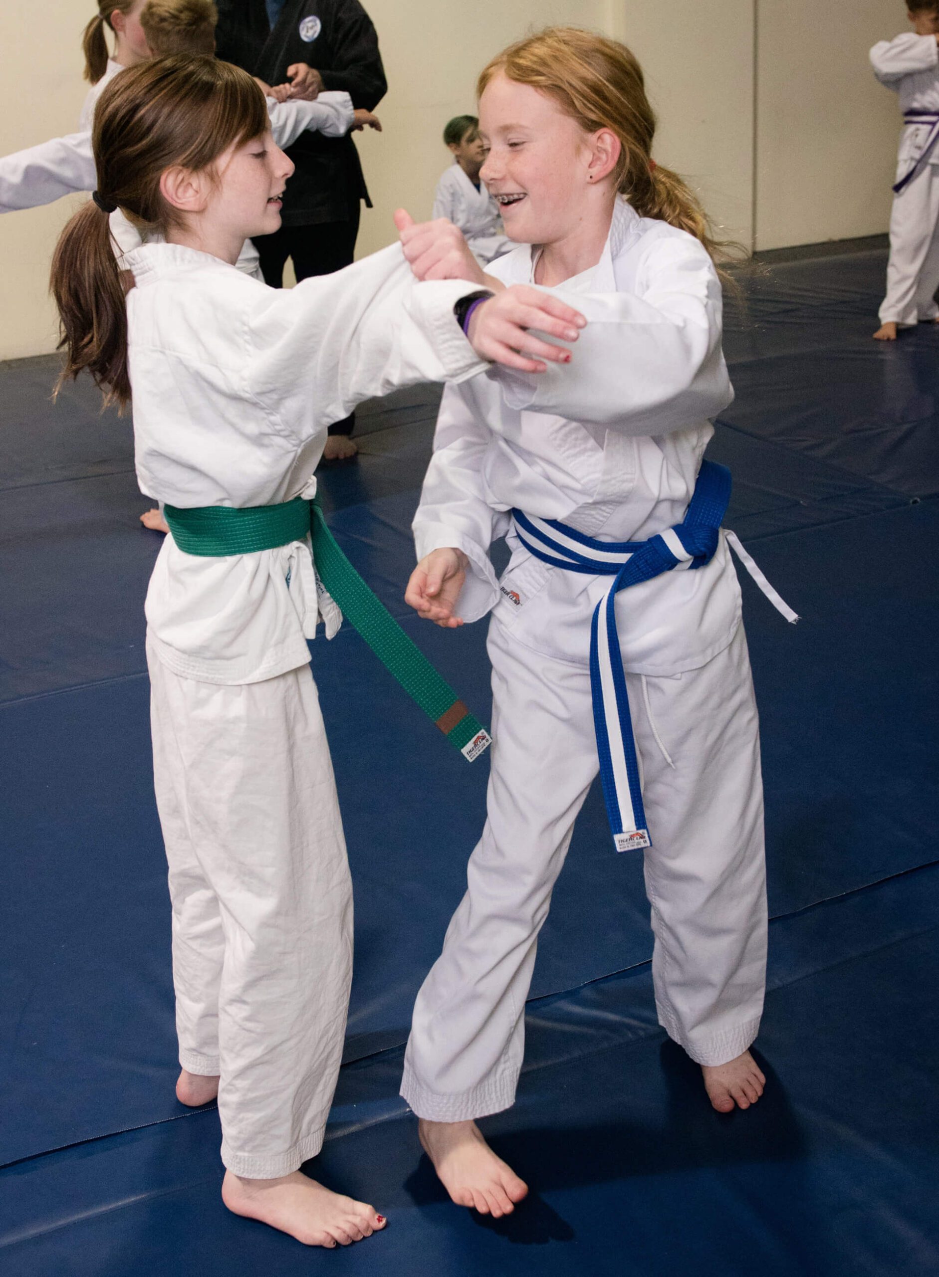 Youth Martial Arts